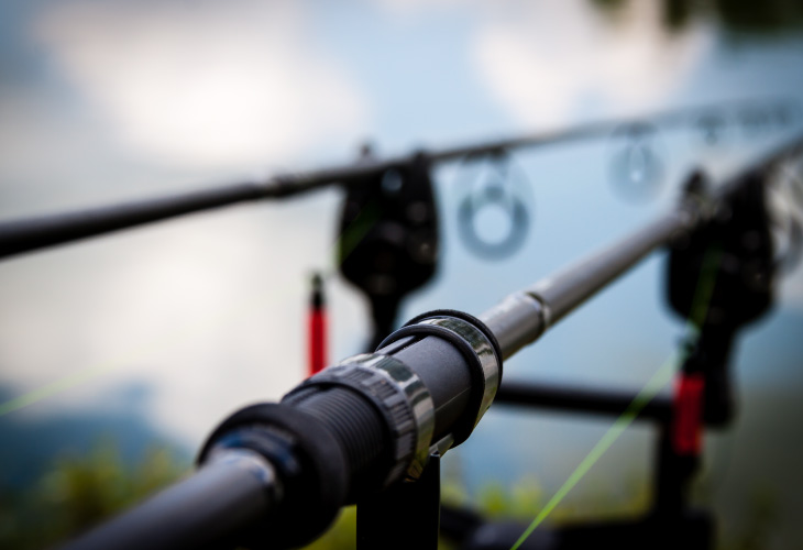 Въдици Въдици